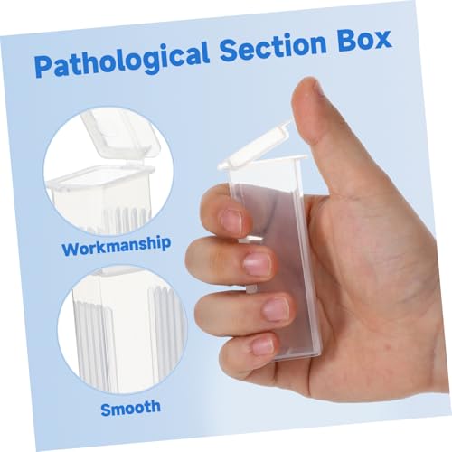 MUELODSIC 50 aؕЗpKXXCh[{bNX Xibvt{XChz_[ d؂tRpNg[P[X