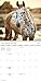 2025 Horses Wall Calendar (Bilingual French)