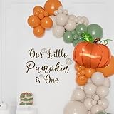 CIEQR Our Little Pumpkin is One Decal - Little Pumpkin 1st Birthday Decorations Decal, Fall Halloween First Birthday Decor, My First Thanksgiving Birthday Decor Sticker for Backdrop, Balloon Arch