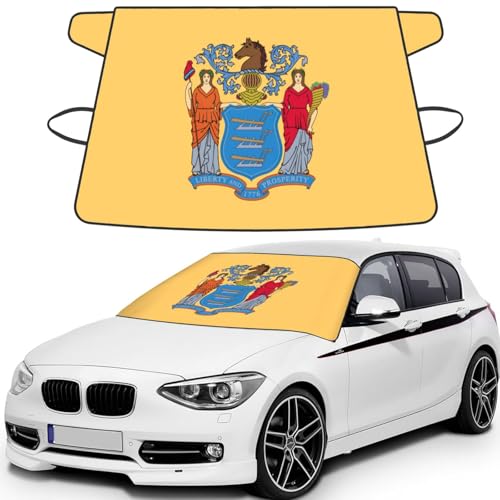 Protector de parabrisas para evitar raspar nieve con diseño de Nueva Jersey