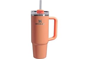 30 Oz Stanley Quencher Travel Tumbler