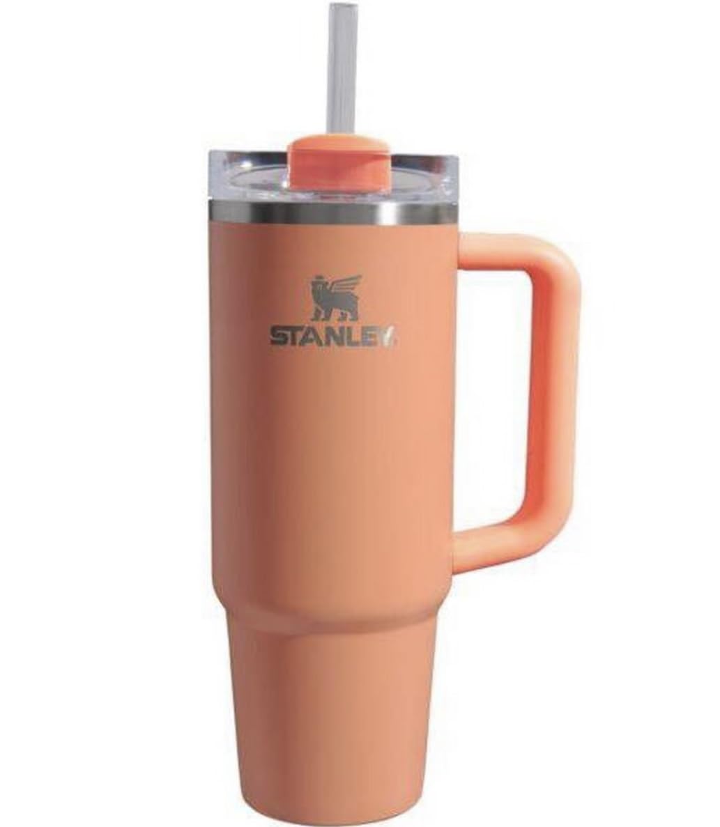 Amazon.com | STANLEY 30 oz Stainless Steel H2.0 Flowstate Quencher