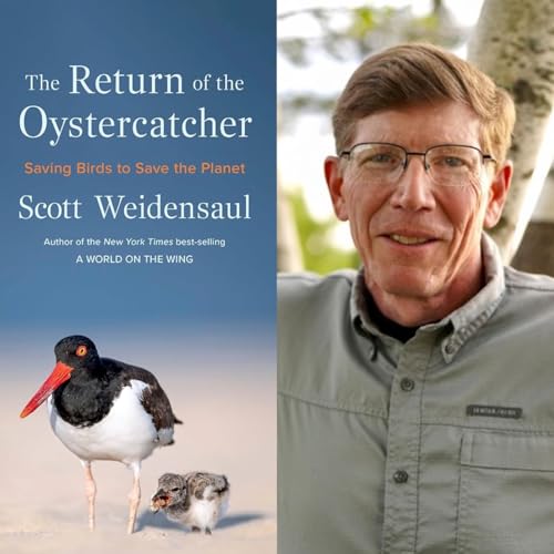 Saving birds to save the planet