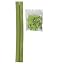 Apple Green