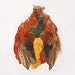 Zucker Feather Products Golden Pheasant Pelt #1 No Crest-Natural
