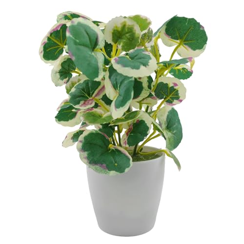 Image of KARP Artificial Potted Plants, Begonia Flower Plant with White Pot Home Decor, Plants for Living Room, Office Desk & Bathroom, Decorative (Small-Plant-6)