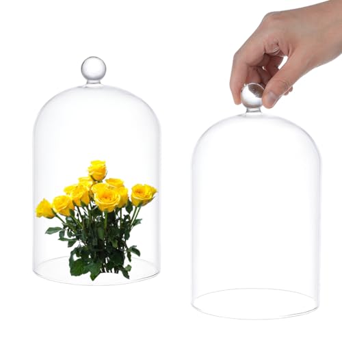 UNICRAFTALE - Campana de cristal transparente, cúpula de cristal, objetos de colección antiguos, escaparate de campana, decorativa con mango de bola para plantas, guirnaldas luminosas, decoración de