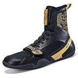 Immagine segnaposto del prodotto