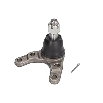 邦楽 Knuckles/st Knuckles/st