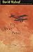 Fly Away Peter (Vintage International)