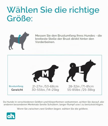 Kyjen 22005 Outward Hound DayPak Hunde-Rucksack Tasche im Satteltaschenstil, verstellbar, Größe L, blau