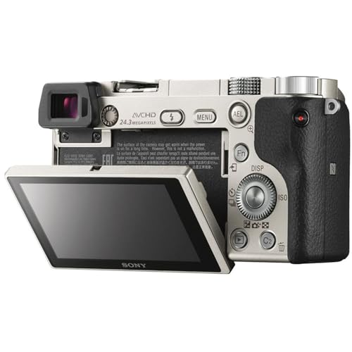 Image of Sony Alpha a6000 Mirrorless Digital Camera (Silver, Body Only) + 64 GB Memory + Extra Battery + Spider Tripod + Case + Tripod + LED Light + Battery Charger + More (21pc Bundle) (Renewed)