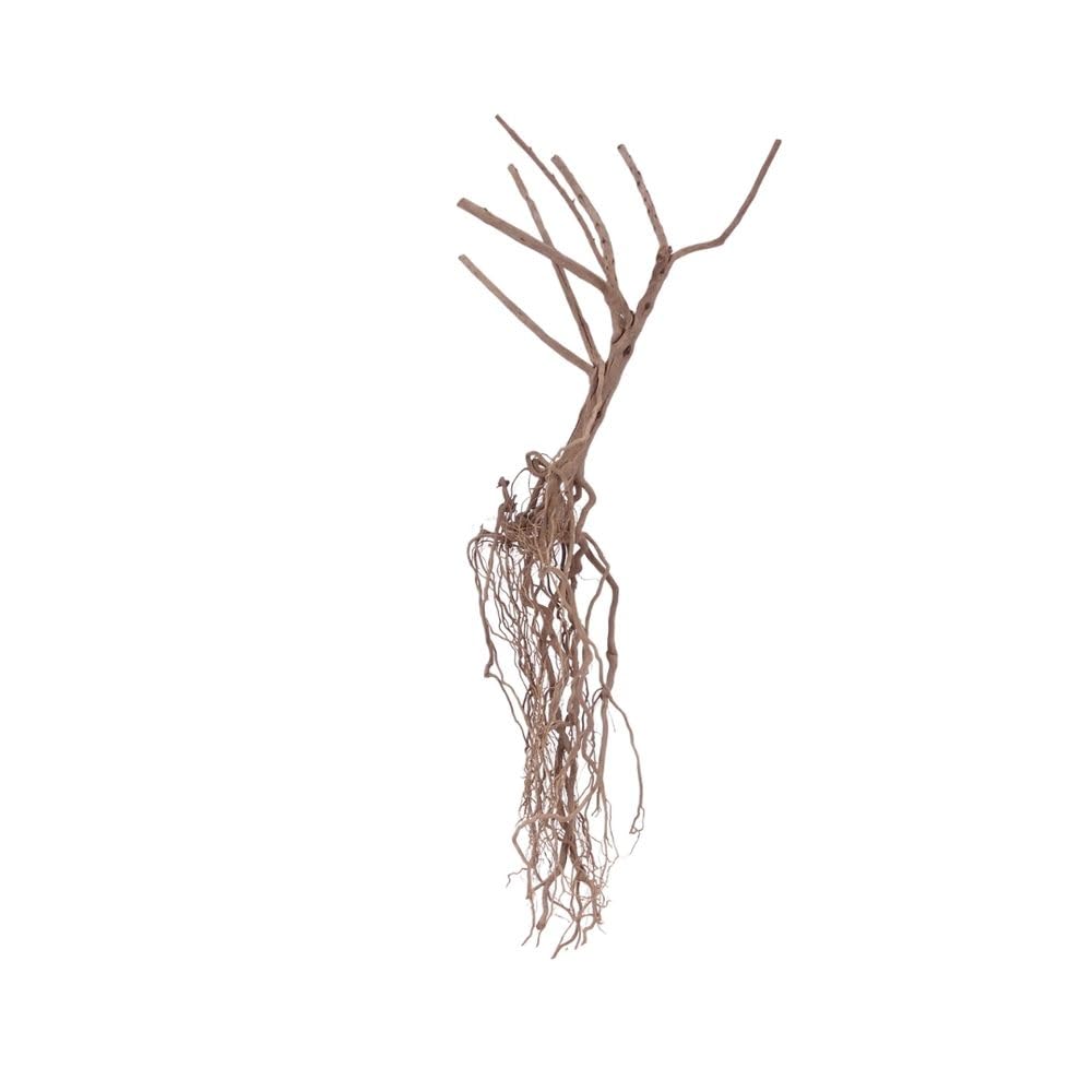 Mousse naturelle sur racine AquaOne Steppen n° 8450, décor en bois de mangrove