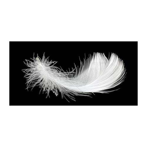 Tirages sur toile pour rompre la monotonie des murs vides, art mural plume blanche 100x50 cm