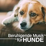 Equipment Media International