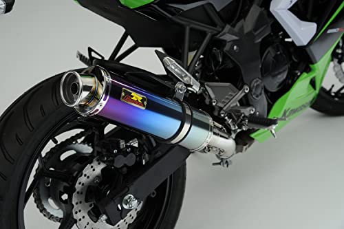 Realize (ACY) JTL jW250SL (JBK-BX250A) 2015N`2016NfΉ oCN}t[ Aria AA `^ J[^Cv (TypeC) }t[ Ninja250SL 514-SO-001-01