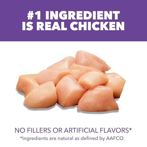 IAMS PROACTIVE HEALTH Kitten Dry Cat Food 7 Pounds