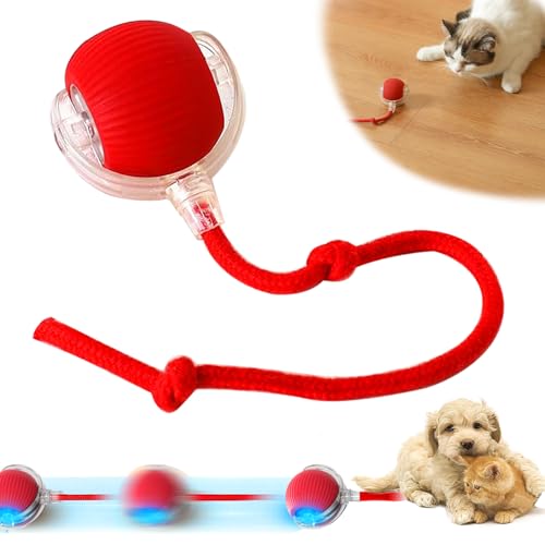 Funmo Balle Chat Interactive, Cat Toy, Balle pour Chat, Pet Smart Rolling Ball,Ball Automatic Cat Toy,Boules pour Chats pour Le Jeu et l'interaction
