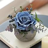 mizii DIY Small Artificial Flowers Potted Kit Fake Flower Realistic Silk Rose and Greenery with Vase for Gifts Table Centerpiece Mantle Office Desk Shelves Living Room Decorations (Navy Blue)