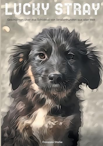 Lucky stray: Geschichten über das Schicksal von Strassenhunden aus aller Welt