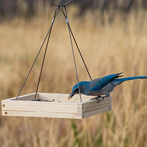 Perky-Pet 50178 Hanging Tray Bird Feeder #TOP3