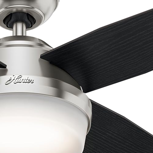 Image of Hunter Dempsey, Indoor, Ceiling Fan, Modern, Quiet, 44 inch, Brushed Nickel