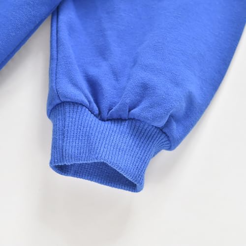 LittleSpring Unisex Boys Girls Crewneck Sweatshirts Long Sleeve Casual Pullover4