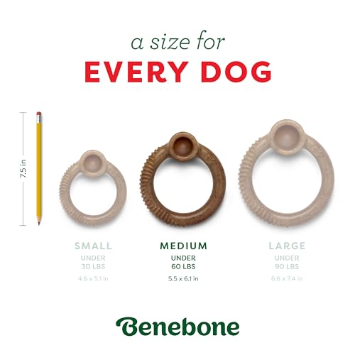 Image of Benebone Peppermint Ring - Limited Edition Holiday Flavor, Durable Chew Toy for Aggressive Chewers, Made in USA, Medium