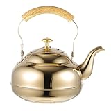 BESTYASH Bollitore per Fornello in Acciaio Inossidabile 15L con Infusore Rimovibile e Beccuccio di Precisione Teiera Vintage Compatibile Induzione Gas Elettrico per Ristoranti e