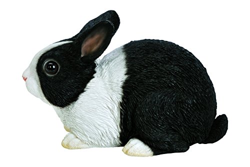 Vivid Arts XRL-PR02-D Seduta Coniglio Olandese