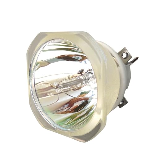 Lampe nue pour réparer l'écran sombre des projecteurs PowerLite et TW6600