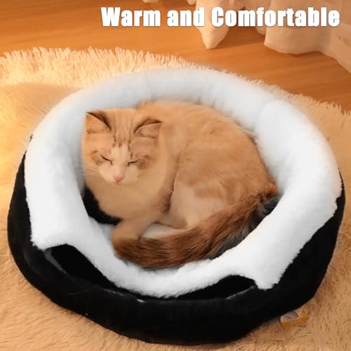 Lit pour chat déhoussable et lavable pour intérieur et extérieur
