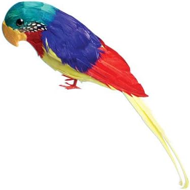 U.S Toy Company Feather Parrot Decoration, 12-Inch