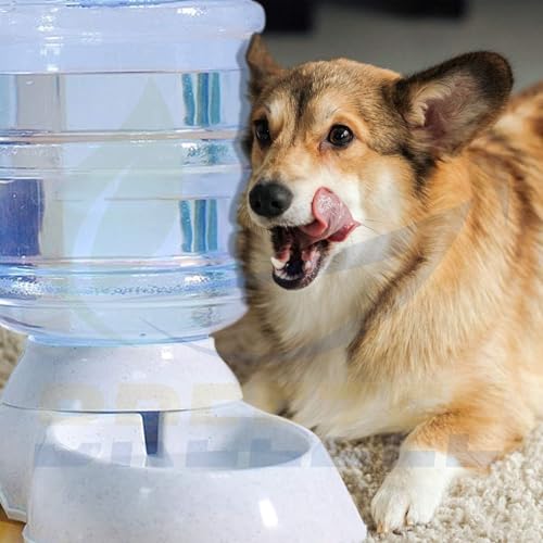 Listado y reviews de Bebedero para mascotas tabla con los diez mejores. 3 Imagen adicional
