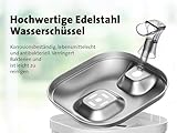 Molly&Cody Spring Trinkbrunnen für Katzen & Hunde (2L Wasserkapazität, automatischer Wasserspender, Ultra leise Wasserpumpe, sichtbare Wasserstandanzeige, 3-faches Filtersystem, kompakt, Edelstahl)