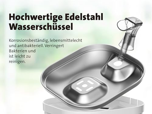 Molly&Cody Spring Trinkbrunnen für Katzen & Hunde (2L Wasserkapazität, automatischer Wasserspender, Ultra leise Wasserpumpe, sichtbare Wasserstandanzeige, 3-faches Filtersystem, kompakt, Edelstahl)