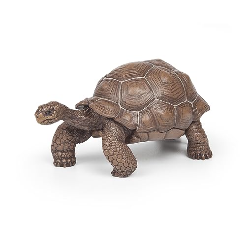 Papo - Figura Tortuga Galapagos (2050161.0)