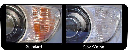 Philips 12496SVB2 PY21W Silver Vision, Indicator Bulbs with Silver Coating (2 x Bulbs)