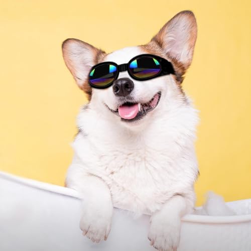 QKEPCY Hundebrille UV Schutzbrille Wasserdicht Winddicht Einstellbar Sonnenbrille Hund Haustier Sonnenbrille Mode Schutzbrille für Große Mittelgroße und Kleine Hundebrille(Schwarz)