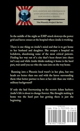 The Phoenix Project - Image 2