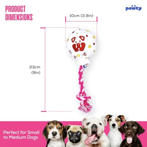 Set de Juguetes para Perro Cumpleaños (3 Piezas) miniatura 6