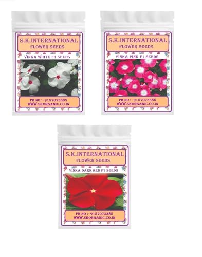 Image of Hybrid F1 Flower Seeds, Easy to Grow, Low Maintenance (Vinka White-Vinka Red- Vinka Pink)