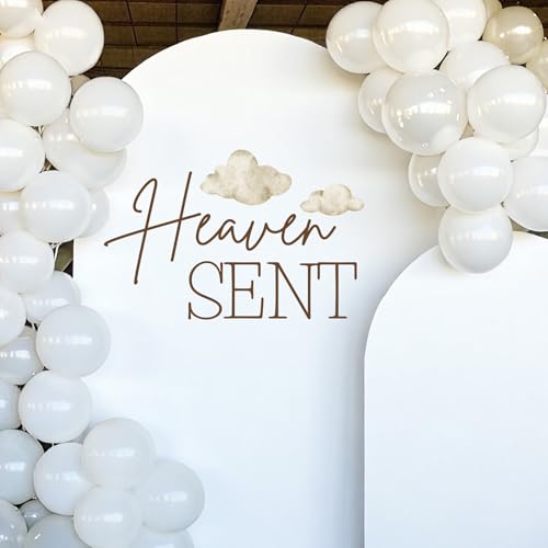 Autocollant de révélation du sexe nuage et panneau Heaven Sent de baby shower