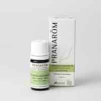 PRANAROM ジャスミン 5ml プラナロム 精油 プラナロム ジャスミン Abs.｜アロマ×アロマ