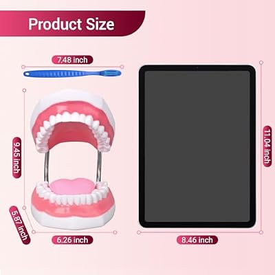 Ultrassist Ultrassist Mouth Model Metal Hinge for Speech Therapy, Ideal Brushing Teaching Dental Teeth Model for Kids and Children, 6 Times Enlarge, Includes Toothbrush