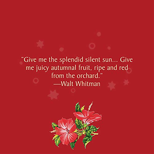 Celestial Seasonings Hibiscus Tea, Red Zinger Herbal Tea, Caffeine Free, 20 Tea Bags (Pack of 6)