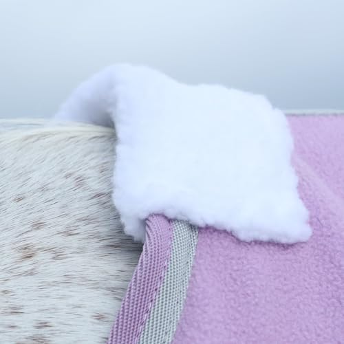Image of LEAFOREST Horse Fleece Blanket Polar Fleece Cooler Liner Soft Exercise Blankets for Horses Moisture Wicking Sheet in the Barn, Stable, Stall, Pasture, Paddock Purple 75 inches