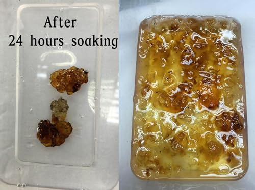 Grand Gift Wild Natural Dried Tao Jiao, Peach Gum, Helps Nourishing Skin Health (2lbs)