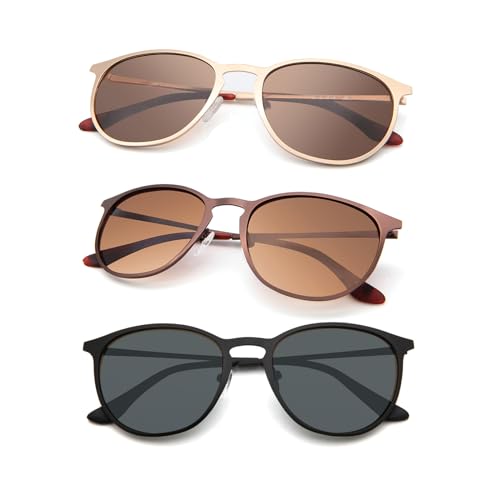 Classic Round Retro Sunglasses UV400 Circle Lens Metal Frame Men Women FW1006 C5, C5 Black Frame / Mirrored Blue Lens, normal