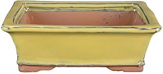 Maceta para bonsái rectangular de gres esmaltado de color amarillo verdoso 22x17x6,5 cm - GA1B